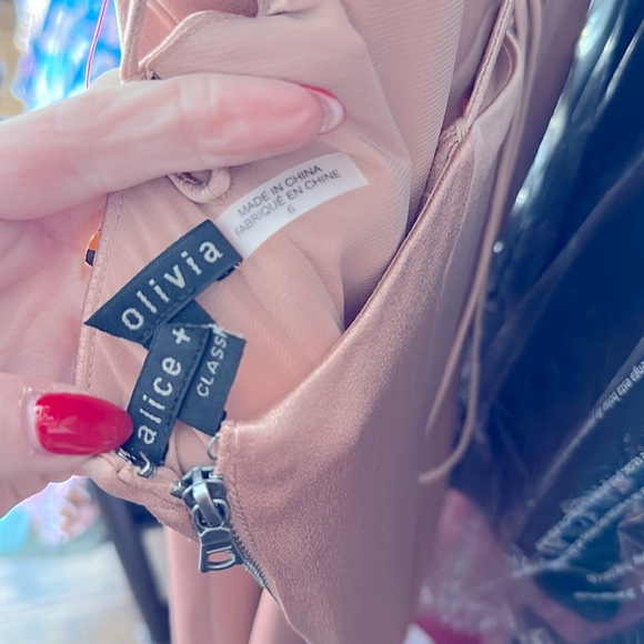 Alice + Olivia • Julietta Slip Dress in Burnt Rose • NWT • SZ 6 • MSRP $495 - Picture 8 of 8